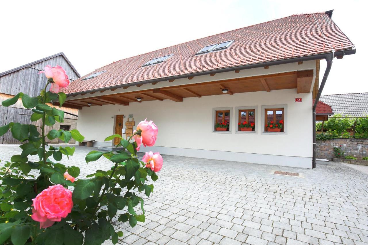 Apartments Vrdjan Cerknica Eksteriør billede